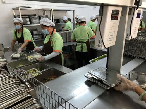 中山市为涉校集体用餐配送单位集中“充电”，筑牢校园食品安全防线